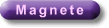 Magnetpolrechner