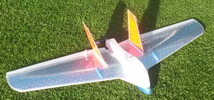 Dynamic Wing